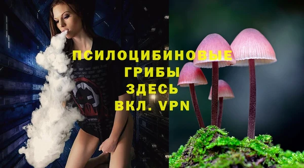 прущая мука Арсеньев