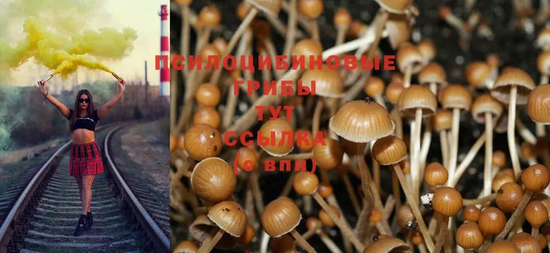 Галлюциногенные грибы MAGIC MUSHROOMS  Вельск 