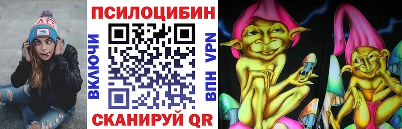 мега онион  Вельск  Псилоцибиновые грибы Psilocybine cubensis 